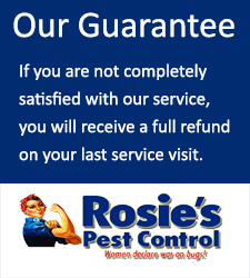 Rosie's Pest Control